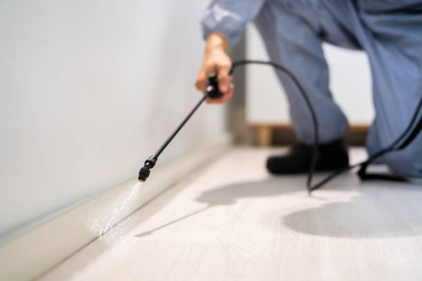 Licensed Pest Control service in Alexandria, LA - Show Me Pest Control