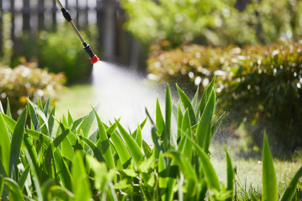 24/7 Emergency Wasp Removal experts in Alexandria, LA