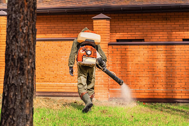 Top rated local Wasp Removal specialists in Alexandria, LA